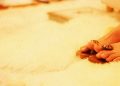 LA TRASCENDENCIA DEL GURÚ PURNIMA