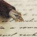 SIETE POEMAS PARA CREER EN LA VIDA