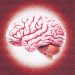 LO NEUROCIENTÍFICO EN LA ESPIRITUALIDAD