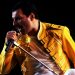 FREDDIE, NUNCA DEMASIADO LEJOS