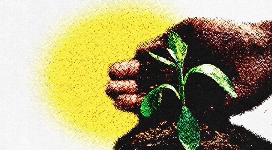 EL AMBIENTE, LA BASURA, LA CONCIENCIA