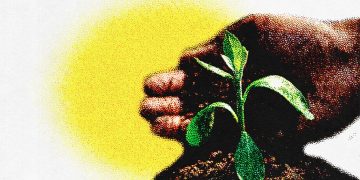 EL AMBIENTE, LA BASURA, LA CONCIENCIA