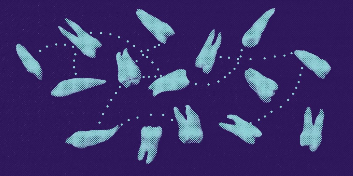 LOS DIENTES, FUENTE DEL CONOCIMIENTO DEL SER