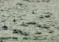 LLUVIA SERENA, SALVAJE Y ABUNDANTE