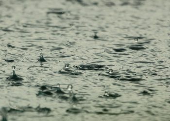LLUVIA SERENA, SALVAJE Y ABUNDANTE