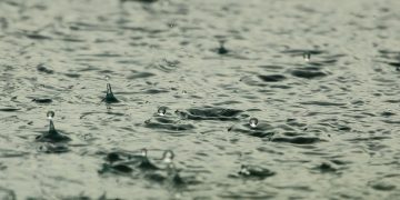 LLUVIA SERENA, SALVAJE Y ABUNDANTE