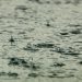 LLUVIA SERENA, SALVAJE Y ABUNDANTE