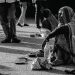 EL SERVICIO Y LAS ONG