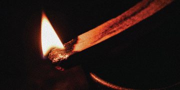 EL OBSTINADO FUEGO DE LA INCONSCIENCIA