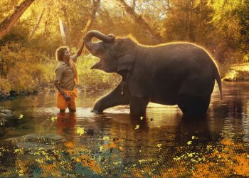 NUESTRO BEBE ELEFANTE