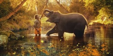 NUESTRO BEBE ELEFANTE