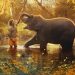 NUESTRO BEBE ELEFANTE