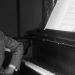 Bolero perfecto | Maurice Ravel (1875-1937)