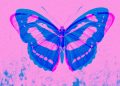 EL EFECTO MARIPOSA