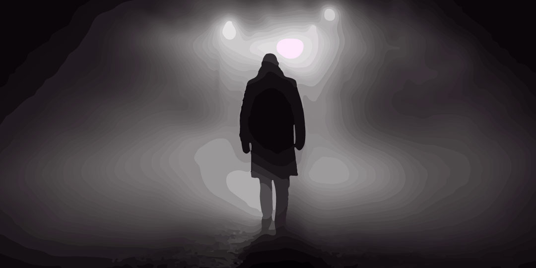 EL EQUIPAJE DE SOMBRAS QUE NEGAMOS