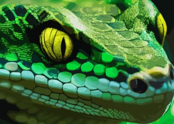 ¿QUÉ SIGNO HACES, OH SERPIENTE, CON TU REPTILIANO CUERPO?