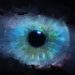 EL OJO QUE OBSERVA Y ES OBSERVADO