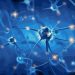 LA NEURONA QUE INHIBE, Y CONTROLA