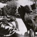 Tradición germánica | Karl Böhm (1894-1981)