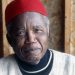 Modelo literario africano | Chinua Achebe (1930-2013)