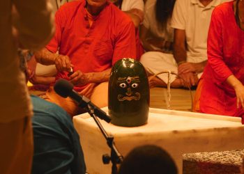 PURA VIDA, VIDA AL LINGAM