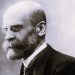 Padre de la sociología | Émile Durkheim   (1858-1917)