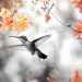 EL COLIBRÍ, ALIADO DEL ALMA