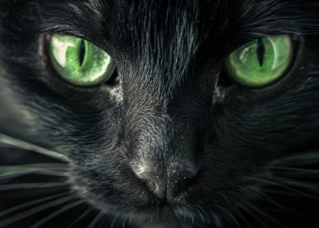 SUPERSTICIÓN, ENTENDIMIENTO ENTRE LO VISIBLE Y LO INVISIBLE