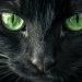 SUPERSTICIÓN, ENTENDIMIENTO ENTRE LO VISIBLE Y LO INVISIBLE