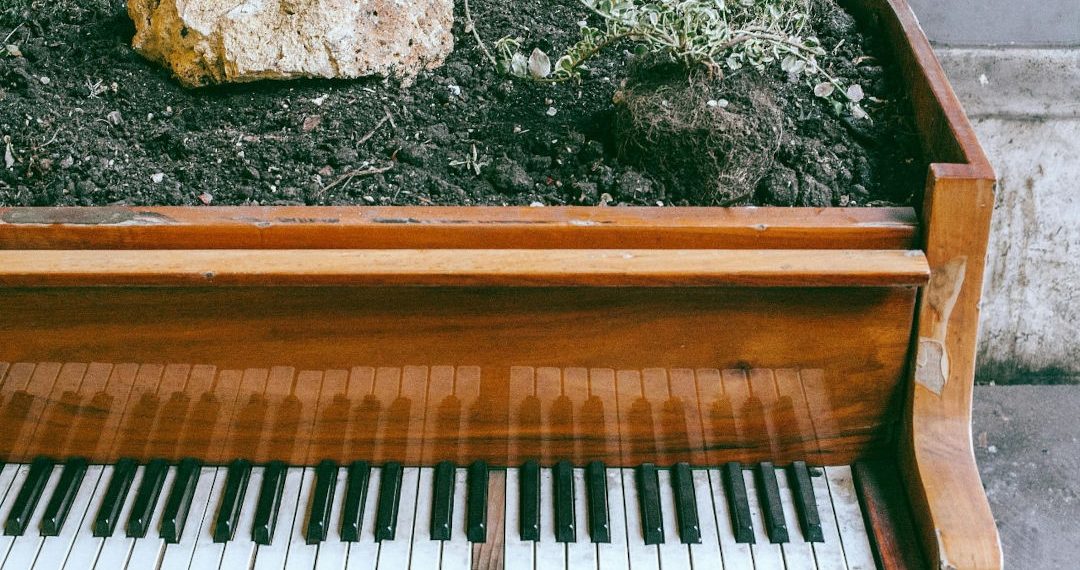 CARL JUNG Y LA MUSICOTERAPIA