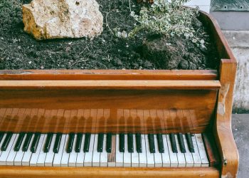 CARL JUNG Y LA MUSICOTERAPIA