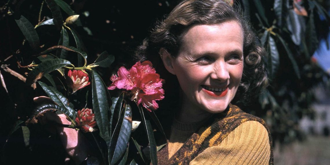 Los pájaros de Rebeca | Daphne du Maurier (1907-1989)