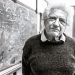 Muón Neutrino |  Jack Steinberger   (1921-2020)