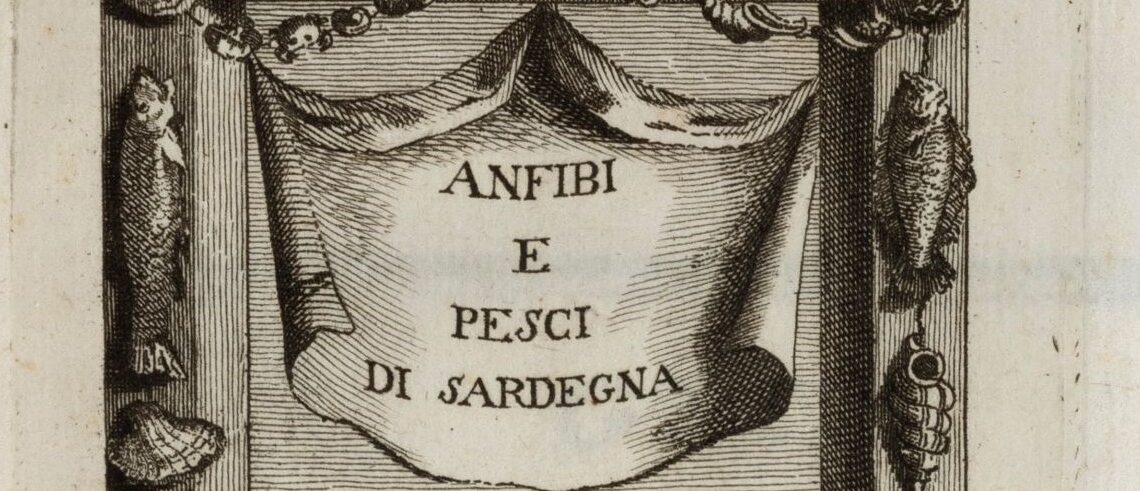 Ciencia natural jesuita | Francesco Cetti   (1726-1778)