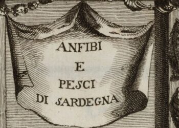 Ciencia natural jesuita | Francesco Cetti   (1726-1778)
