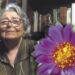 Vanguardia botánica | Helia Bravo Hollis (1901-2001)